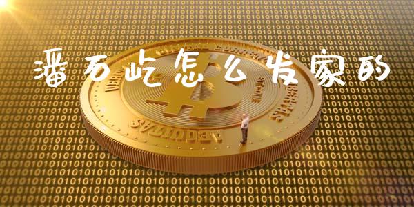 潘石屹怎么发家的_https://wap.lxcailiao.com_金融监管_第1张