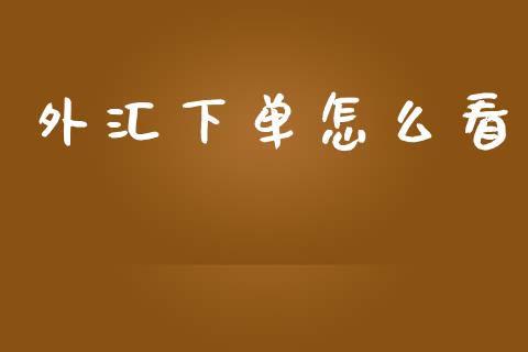 外汇下单怎么看_https://wap.lxcailiao.com_财务管理_第1张