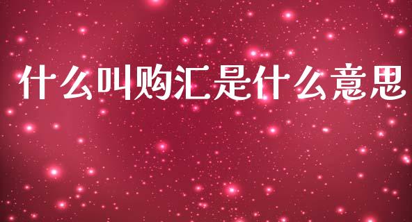 什么叫购汇是什么意思_https://wap.lxcailiao.com_股权投资_第1张