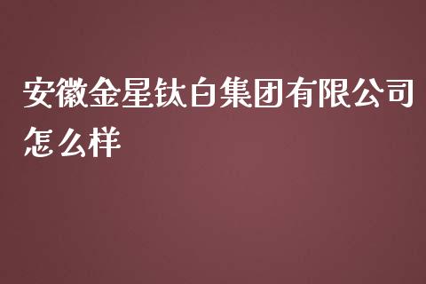 安徽金星钛白集团有限公司怎么样_https://wap.lxcailiao.com_股权投资_第1张