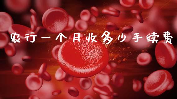 农行一个月收多少手续费_https://wap.lxcailiao.com_财务管理_第1张