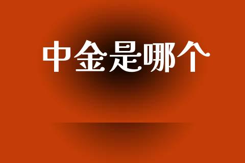 中金是哪个_https://wap.lxcailiao.com_融资担保_第1张