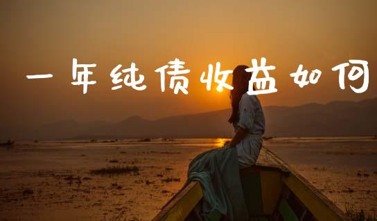 一年纯债收益如何_财务管理_第1张_金融监管_融资担保_财务管理_股权投资 一年纯债收益如何_https://wap.lxcailiao.com_财务管理_第1张