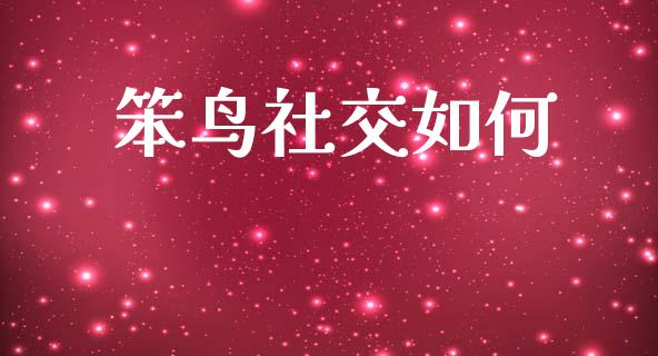 笨鸟社交如何_https://wap.lxcailiao.com_财务管理_第1张