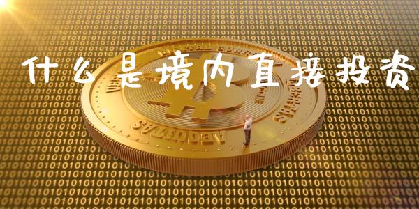 什么是境内直接投资_https://wap.lxcailiao.com_财务管理_第1张
