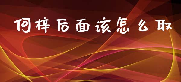 何梓后面该怎么取_https://wap.lxcailiao.com_金融监管_第1张