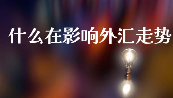 什么在影响外汇走势_https://wap.lxcailiao.com_金融监管_第1张