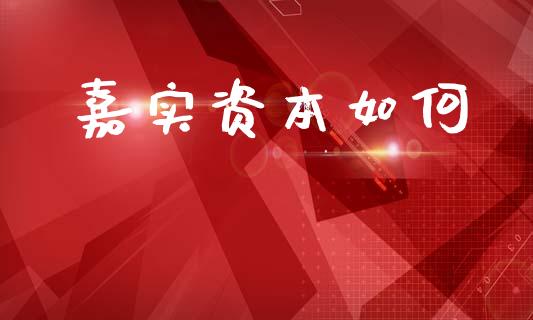 嘉实资本如何_https://wap.lxcailiao.com_融资担保_第1张