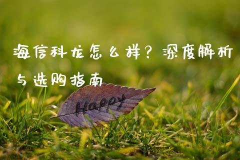 海信科龙怎么样？深度解析与选购指南_https://wap.lxcailiao.com_融资担保_第1张