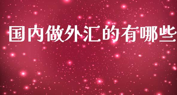 国内做外汇的有哪些_https://wap.lxcailiao.com_融资担保_第1张