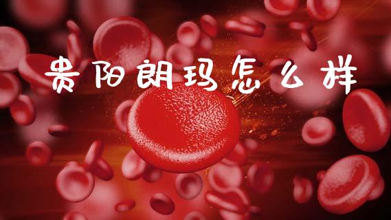 贵阳朗玛怎么样_https://wap.lxcailiao.com_财务管理_第1张
