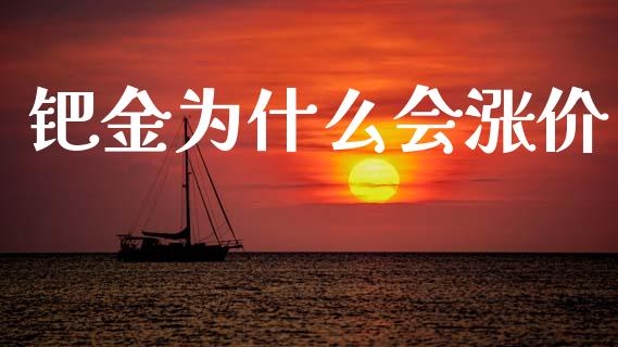 钯金为什么会涨价_https://wap.lxcailiao.com_财务管理_第1张
