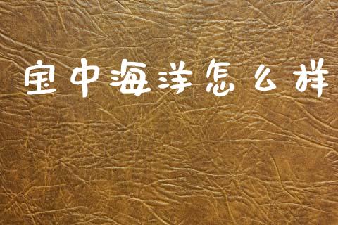 宝中海洋怎么样_https://wap.lxcailiao.com_融资担保_第1张