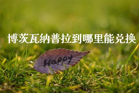 博茨瓦纳普拉到哪里能兑换_https://wap.lxcailiao.com_股权投资_第1张