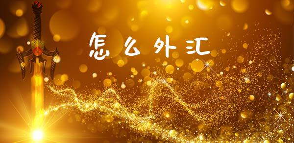 怎么外汇_https://wap.lxcailiao.com_财务管理_第1张