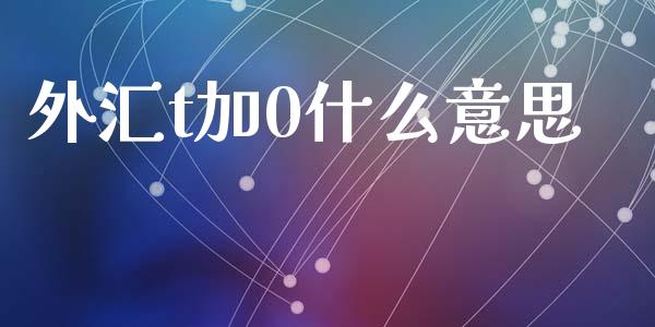 外汇t加0什么意思_https://wap.lxcailiao.com_融资担保_第1张