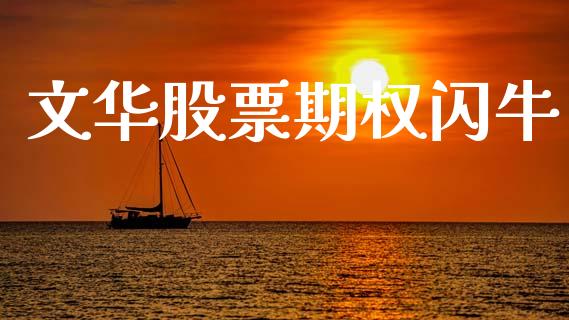 文华股票期权闪牛_https://wap.lxcailiao.com_融资担保_第1张