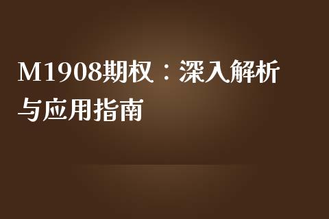 M1908期权：深入解析与应用指南_https://wap.lxcailiao.com_股权投资_第1张