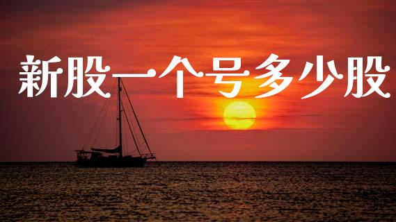 新股一个号多少股_https://wap.lxcailiao.com_融资担保_第1张
