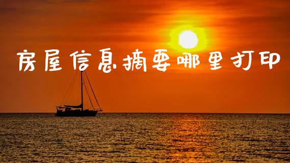 房屋信息摘要哪里打印_https://wap.lxcailiao.com_财务管理_第1张