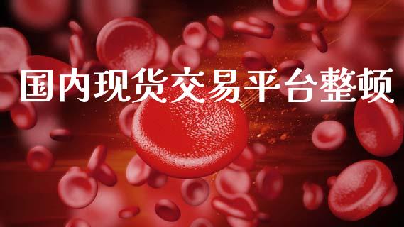国内现货交易平台整顿_https://wap.lxcailiao.com_融资担保_第1张