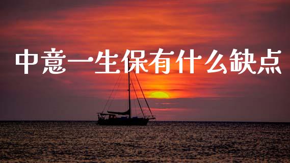 中意一生保有什么缺点_https://wap.lxcailiao.com_财务管理_第1张