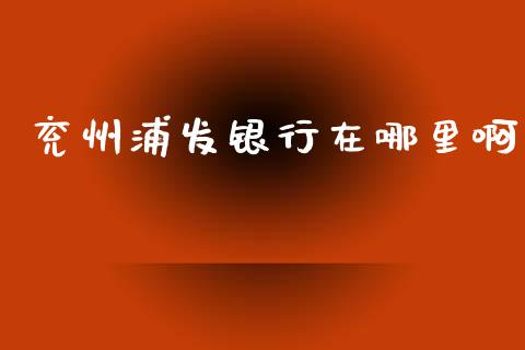 兖州浦发银行在哪里啊_https://wap.lxcailiao.com_金融监管_第1张