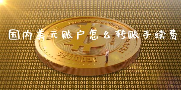 国内美元账户怎么转账手续费_https://wap.lxcailiao.com_融资担保_第1张