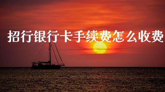 招行银行卡手续费怎么收费_https://wap.lxcailiao.com_股权投资_第1张