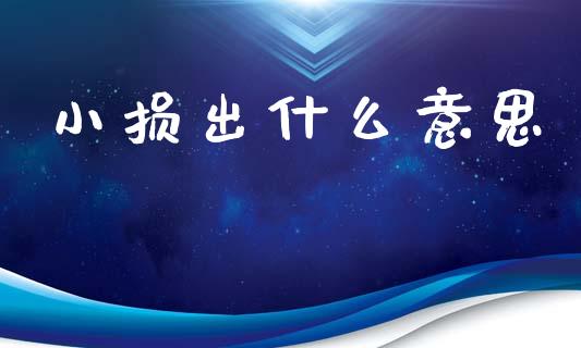 小损出什么意思_https://wap.lxcailiao.com_财务管理_第1张