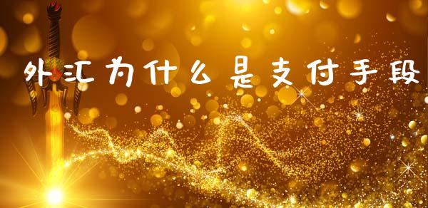 外汇为什么是支付手段_https://wap.lxcailiao.com_财务管理_第1张