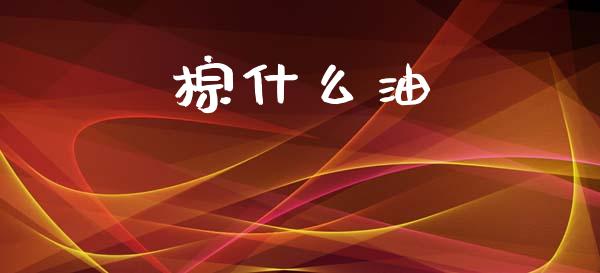棕什么油_https://wap.lxcailiao.com_股权投资_第1张