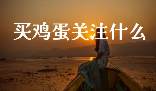 买鸡蛋关注什么_https://wap.lxcailiao.com_股权投资_第1张