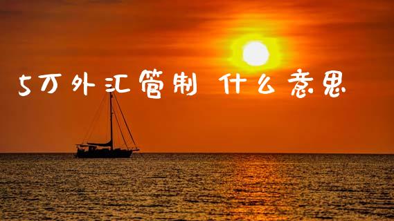 5万外汇管制 什么意思_https://wap.lxcailiao.com_融资担保_第1张