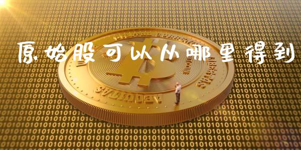 原始股可以从哪里得到_https://wap.lxcailiao.com_融资担保_第1张