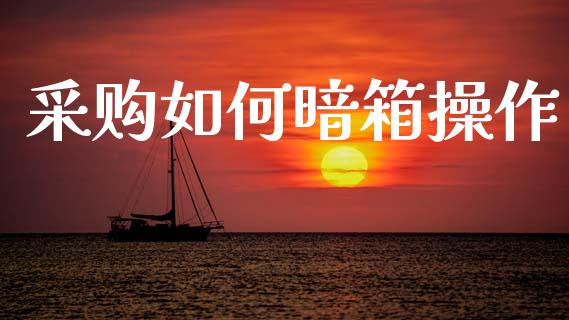 采购如何暗箱操作_https://wap.lxcailiao.com_金融监管_第1张