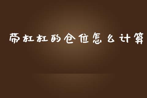 带杠杠的仓位怎么计算_https://wap.lxcailiao.com_融资担保_第1张