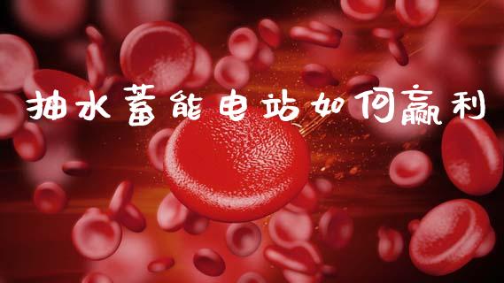 抽水蓄能电站如何赢利_https://wap.lxcailiao.com_财务管理_第1张