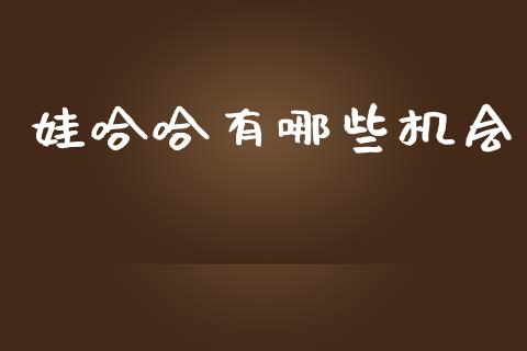 娃哈哈有哪些机会_https://wap.lxcailiao.com_融资担保_第1张
