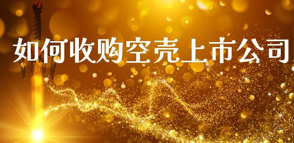 如何收购空壳上市公司_https://wap.lxcailiao.com_融资担保_第1张