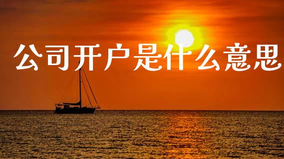 公司开户是什么意思_https://wap.lxcailiao.com_融资担保_第1张