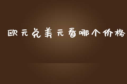 欧元兑美元看哪个价格_https://wap.lxcailiao.com_金融监管_第1张