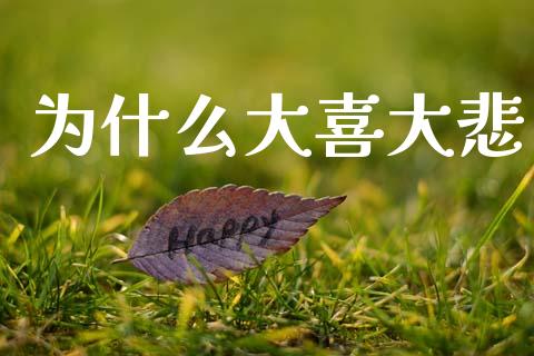 为什么大喜大悲_https://wap.lxcailiao.com_股权投资_第1张