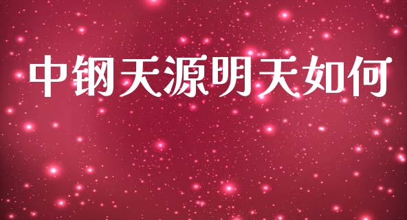 中钢天源明天如何_https://wap.lxcailiao.com_财务管理_第1张
