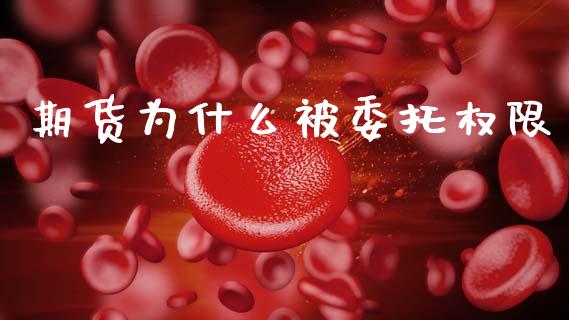期货为什么被委托权限_https://wap.lxcailiao.com_财务管理_第1张