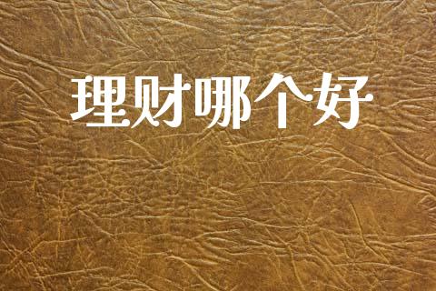 理财哪个好_https://wap.lxcailiao.com_金融监管_第1张