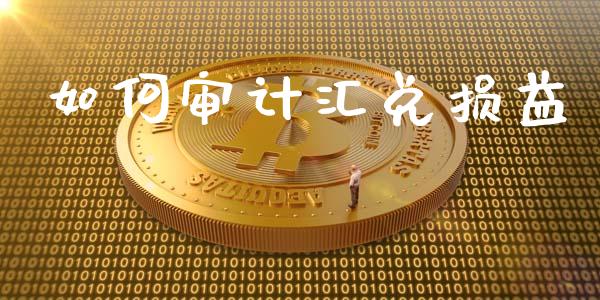 如何审计汇兑损益_https://wap.lxcailiao.com_股权投资_第1张