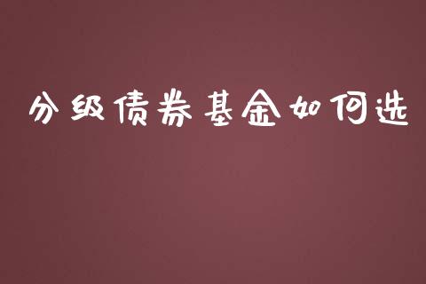 分级债券基金如何选_https://wap.lxcailiao.com_财务管理_第1张