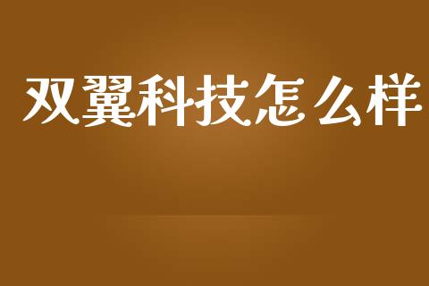 双翼科技怎么样_https://wap.lxcailiao.com_财务管理_第1张