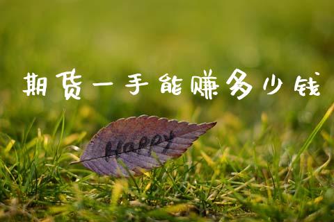 期货一手能赚多少钱_https://wap.lxcailiao.com_财务管理_第1张